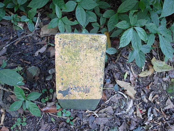 牛埔寮步道 (336).JPG