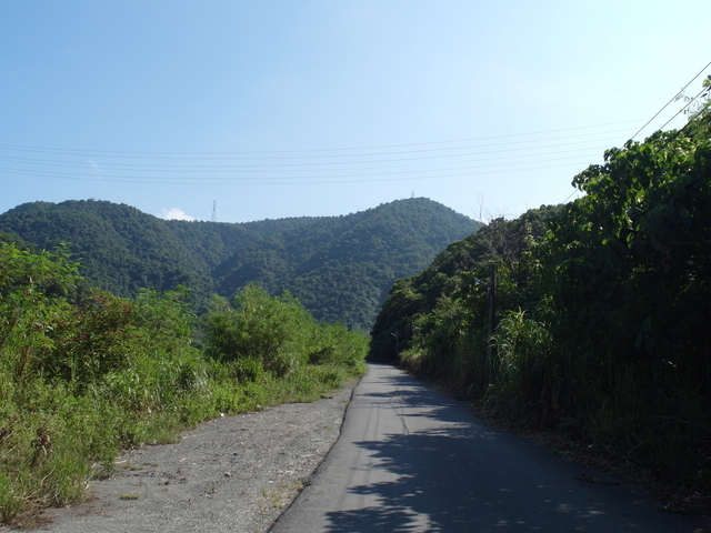 安平坑林道 (9).JPG