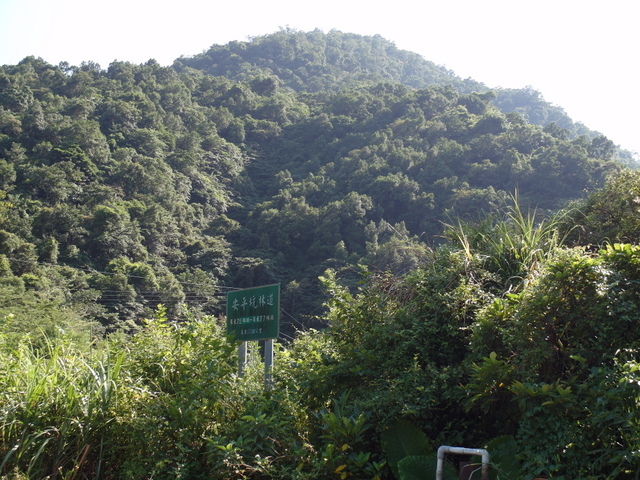 安平坑林道 (15).JPG