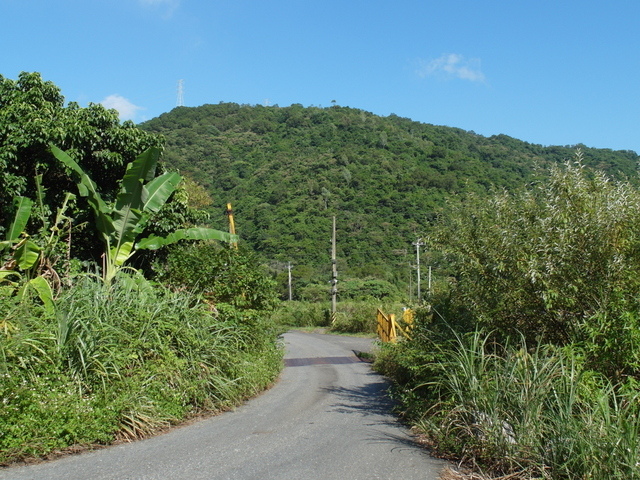 安平坑林道 (17).JPG