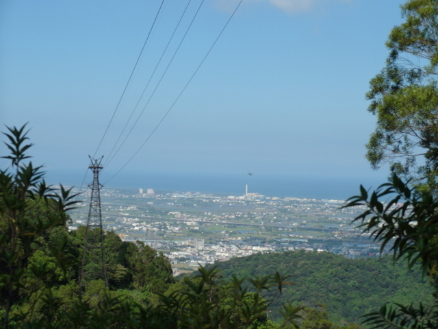 安平坑林道 (25).JPG