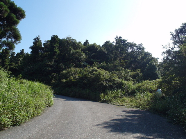 安平坑林道 (39).JPG