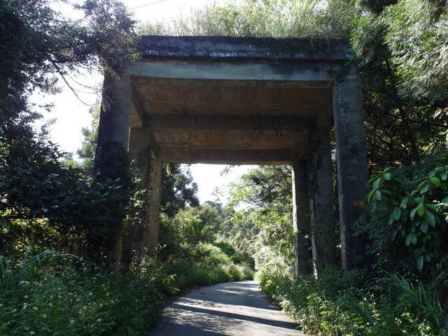 安平坑林道 (37).JPG