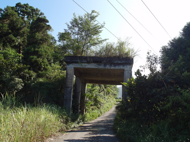 安平坑林道 (41).JPG