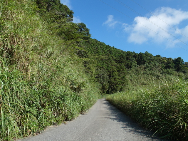 安平坑林道 (48).JPG