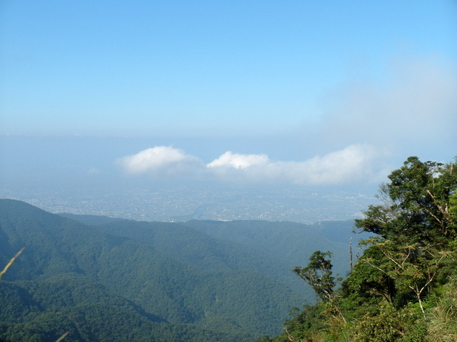 安平坑林道 (59).JPG