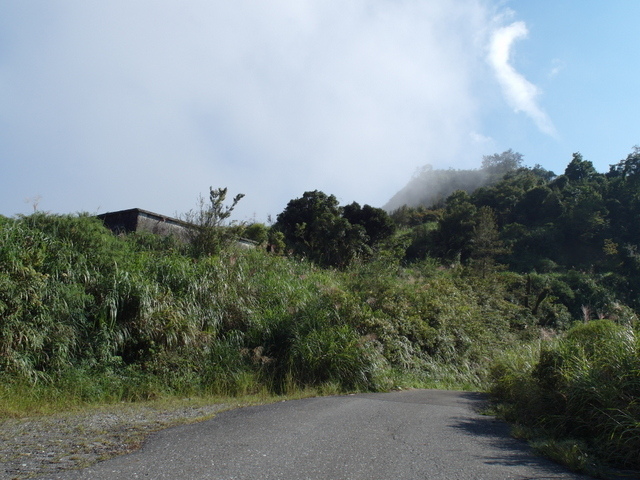 安平坑林道 (63).JPG