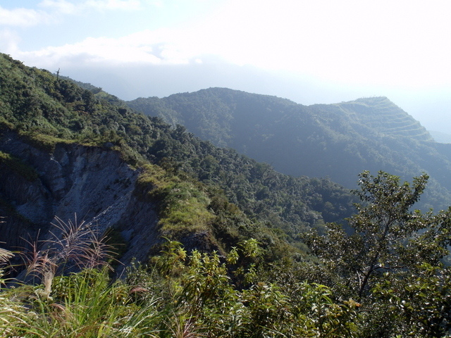 安平坑林道 (68).JPG