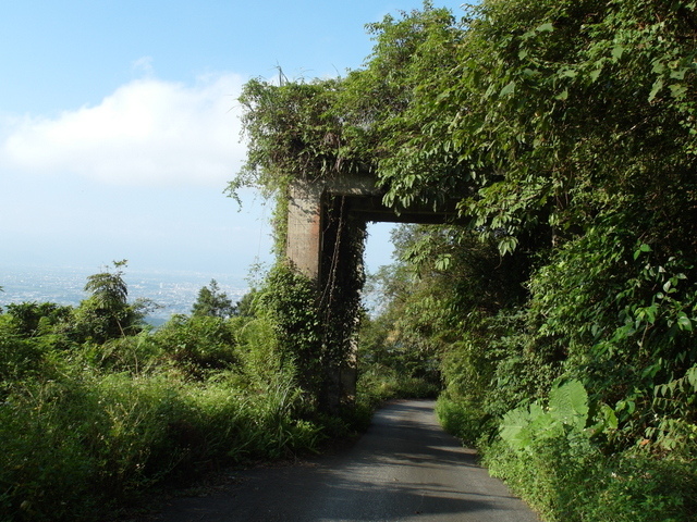 安平坑林道 (91).JPG