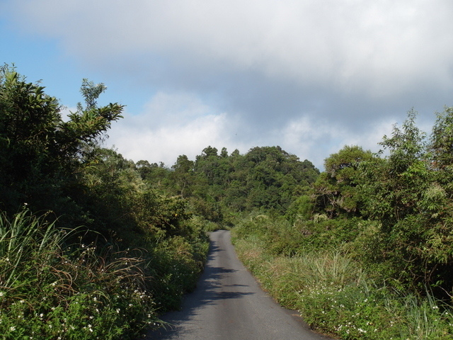 安平坑林道 (86).JPG