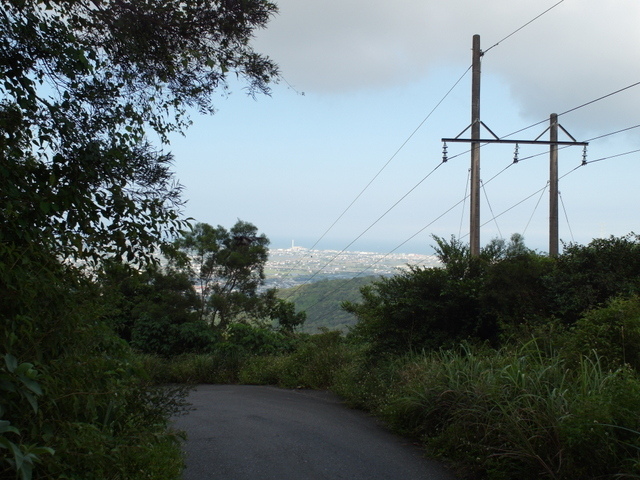 安平坑林道 (95).JPG