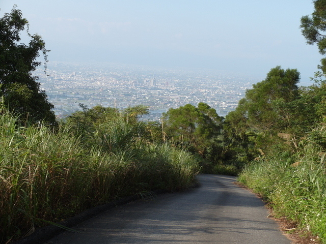 安平坑林道 (92).JPG