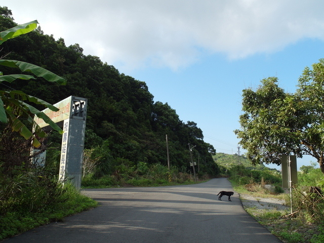 安平坑林道 (100).JPG