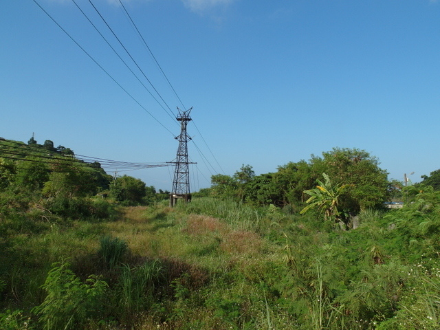 安平坑林道 (102).JPG