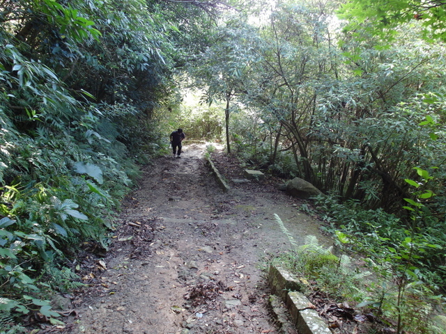 開山嶺 (31).JPG