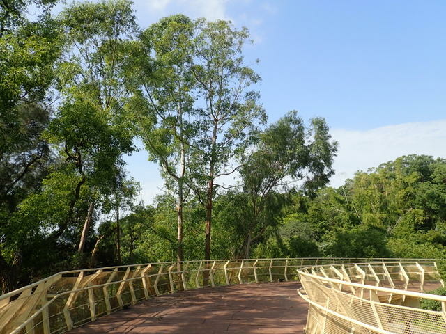 高峰植物園 (13).JPG