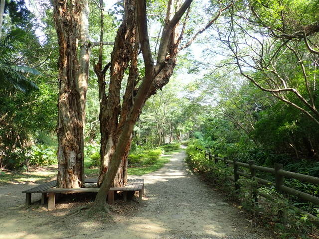 高峰植物園 (29).JPG