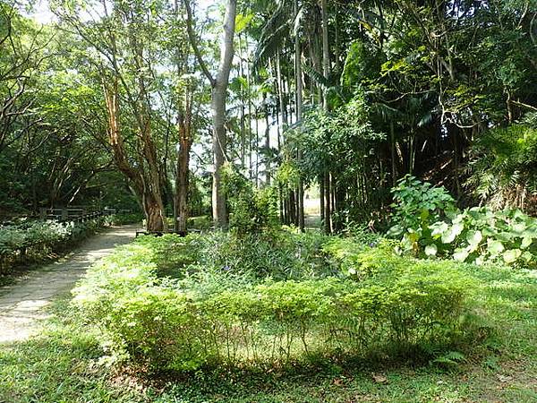 高峰植物園 (30).JPG