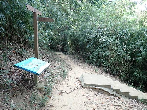 高峰植物園 (51).JPG