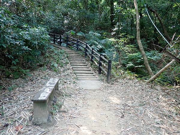 高峰植物園 (55).JPG