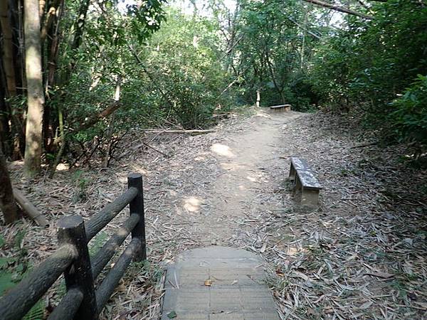 高峰植物園 (56).JPG