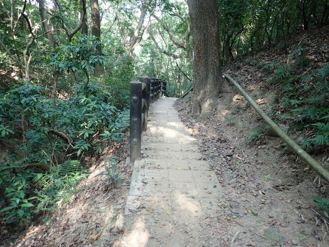 高峰植物園 (60).JPG