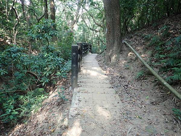 高峰植物園 (60).JPG