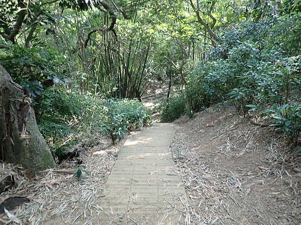 高峰植物園 (68).JPG