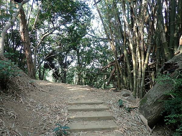 高峰植物園 (67).JPG