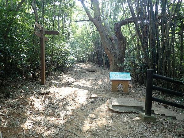 高峰植物園 (73).JPG