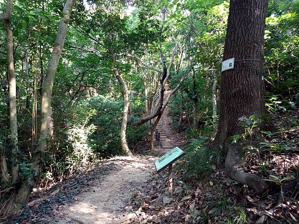 高峰植物園 (84).JPG