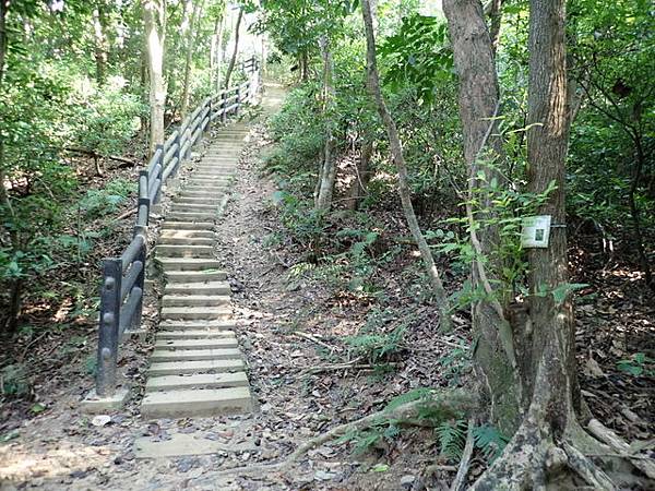 高峰植物園 (82).JPG