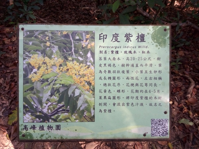 高峰植物園 (89).JPG