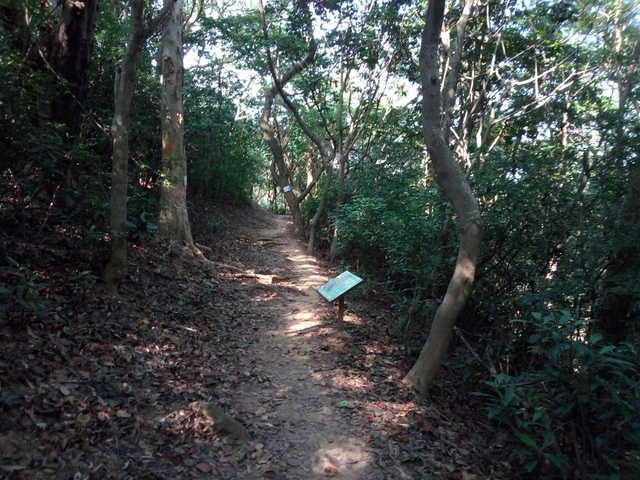 高峰植物園 (88).JPG