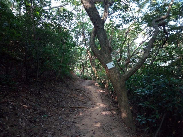 高峰植物園 (90).JPG