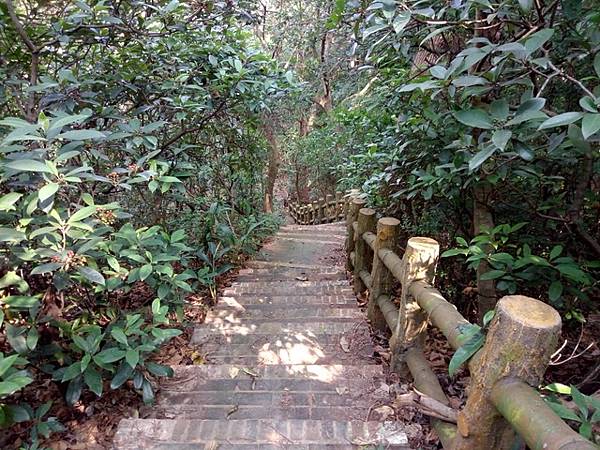 高峰植物園 (93).JPG