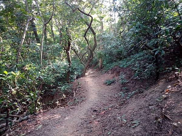 高峰植物園 (91).JPG