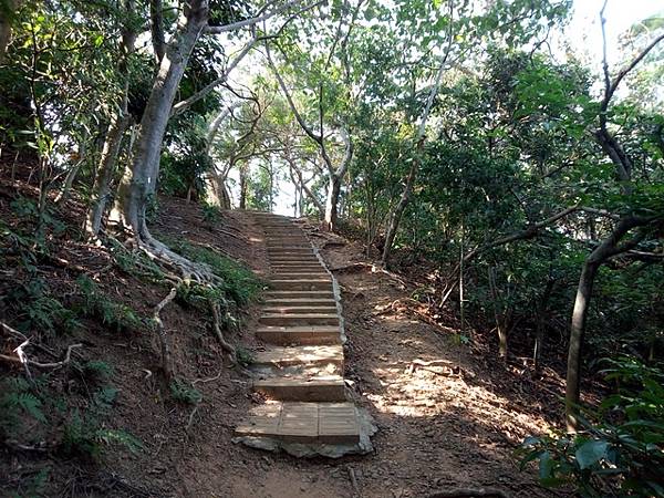 高峰植物園 (96).JPG