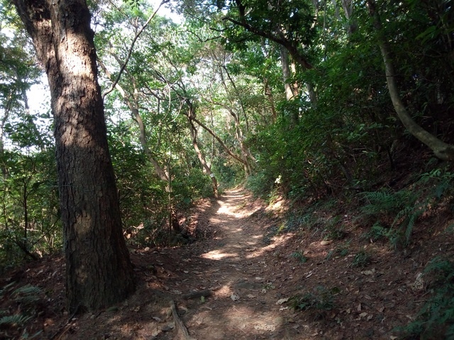 高峰植物園 (106).JPG