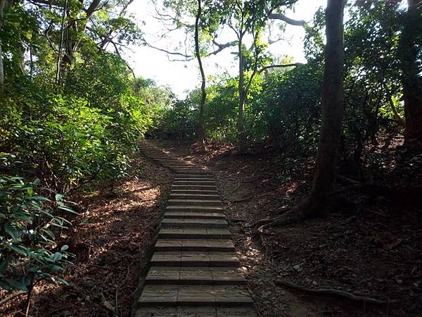 高峰植物園 (112).JPG