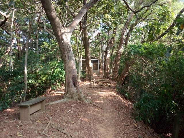 高峰植物園 (116).JPG