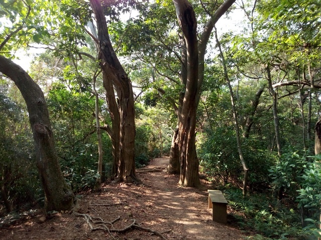 高峰植物園 (118).JPG