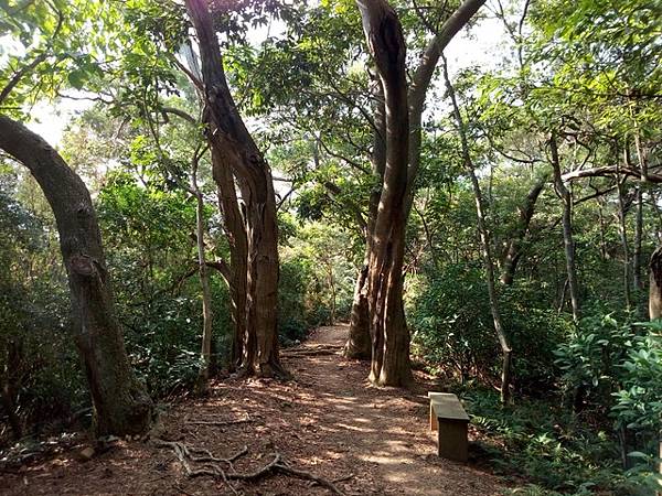 高峰植物園 (118).JPG