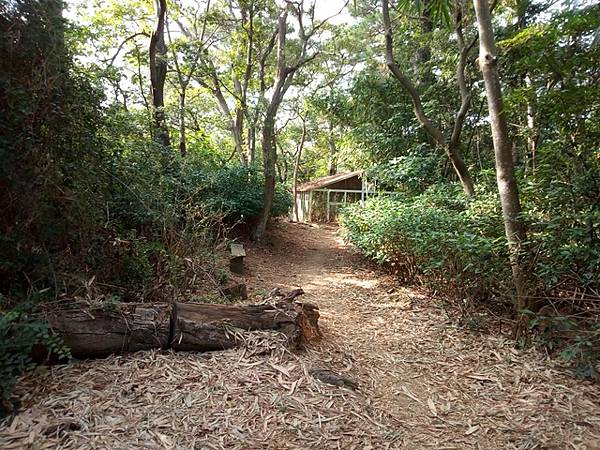 高峰植物園 (123).JPG