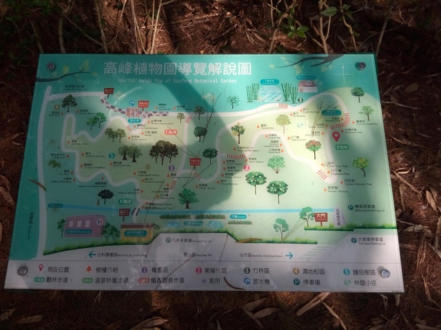 高峰植物園 (120).JPG