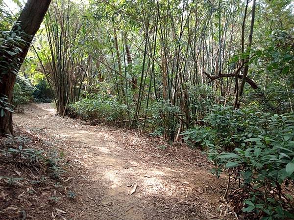 高峰植物園 (128).JPG