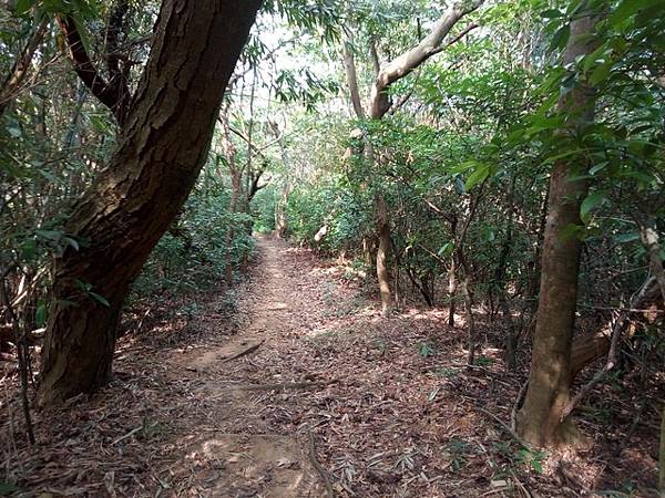 高峰植物園 (126).JPG