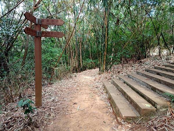 高峰植物園 (133).JPG