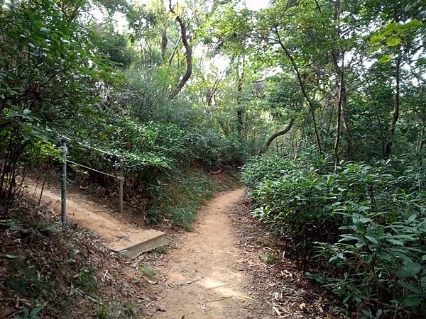 高峰植物園 (131).JPG