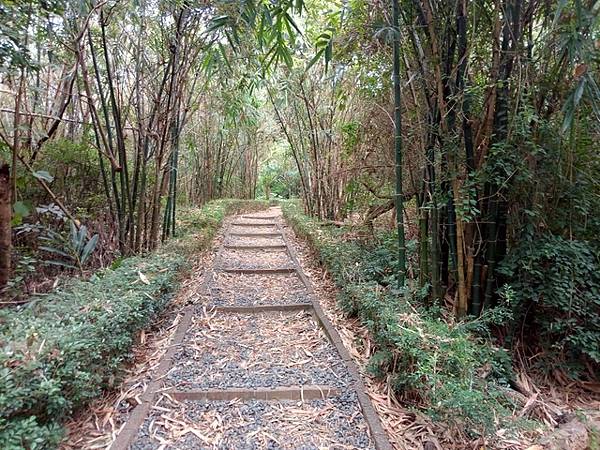 高峰植物園 (152).JPG